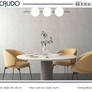 Gạch CALIDO 30x60 Matt mịn 22.C.360.5384