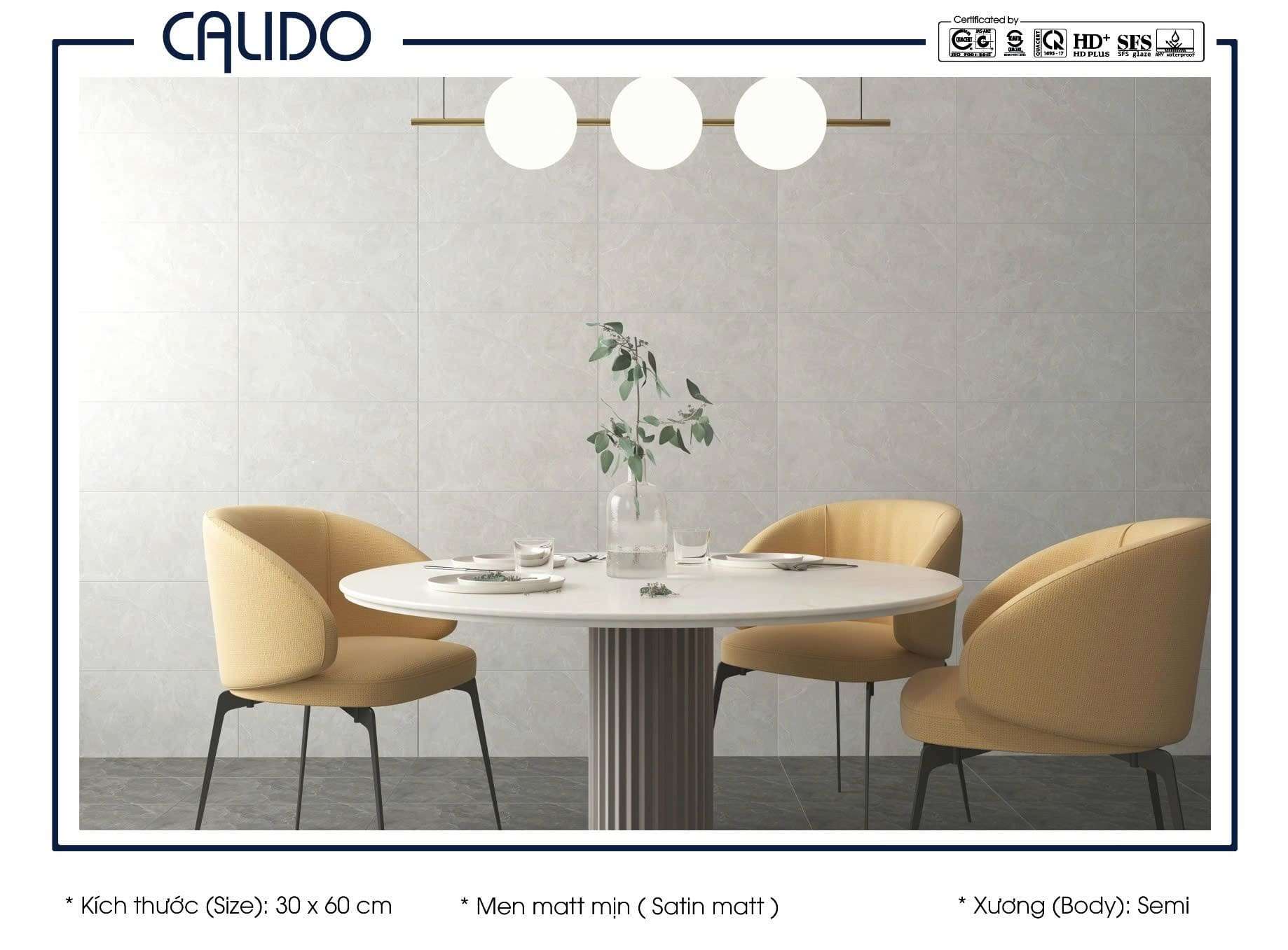 Gạch CALIDO 30x60 Matt mịn 22.C.360.5384