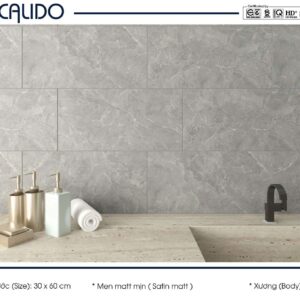 Gạch CALIDO 30x60 Matt mịn 22.C.360.5385