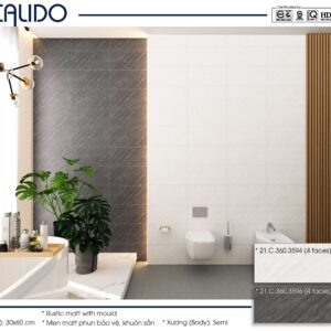 Gạch CALIDO 30x60 Matt phun bảo vệ, khuôn sần 22.C.360.3596